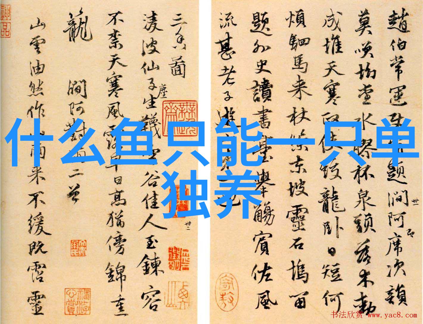 刀鱼网箱驯养在皖成功