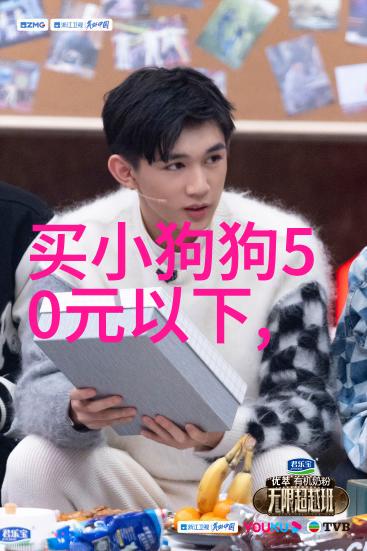 几种家庭养殖金鱼的方法